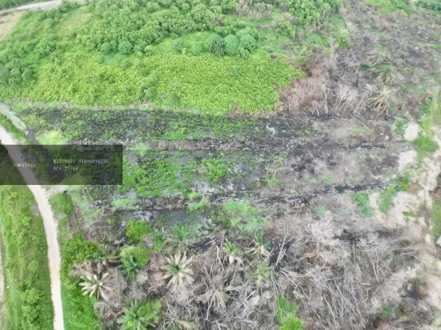 Pening Cari Tanah Murah Tepi Highway? Tanah Rata 1.7 Ekar di Teluk Panglima Garang Ini Sedia Dijual, Harga Berbaloi Sumpah Tak Rugi!